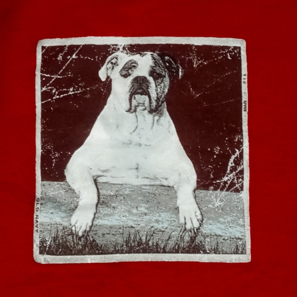 vintage Pitbull Dog Photo NEW t shirt animal - Picture 4 of 4